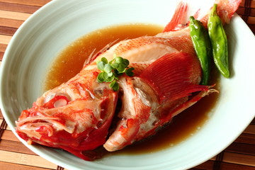 IKESHITA Kinki Rockfish