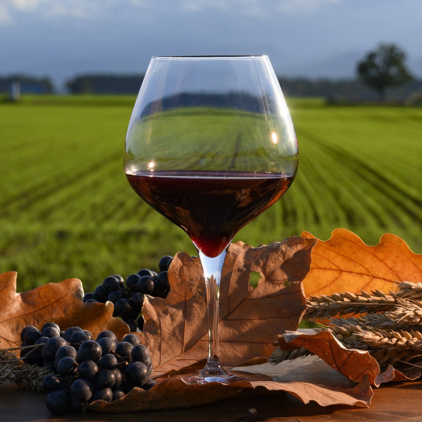 めむろワイナリー 2021 LEGAME【赤】 750ml