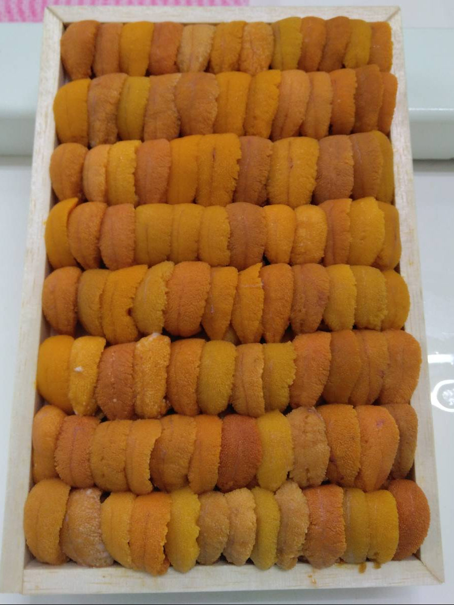 【予約販売】ロシア産バフンウニ並べ250g