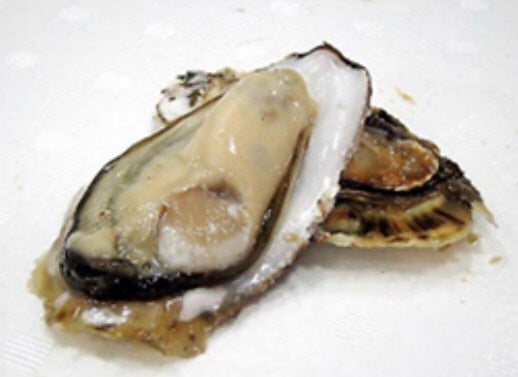 ONE Murotsu Oyster S 10kg
