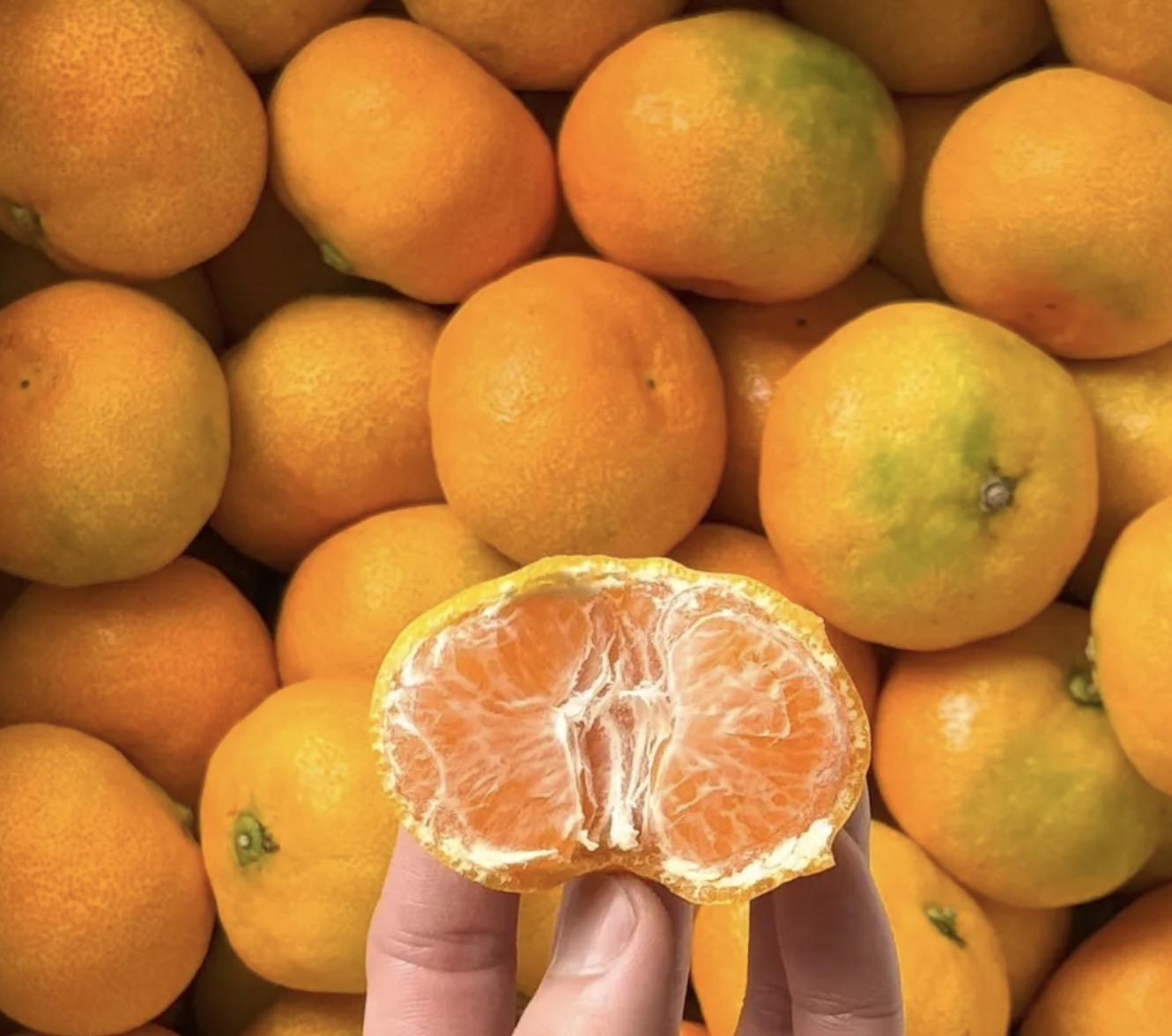 手詰め 有田みかん 和歌山県有田産 みかん　甘い約10KG