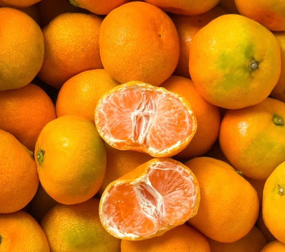 手詰め 有田みかん 和歌山県有田産 みかん　甘い約10KG