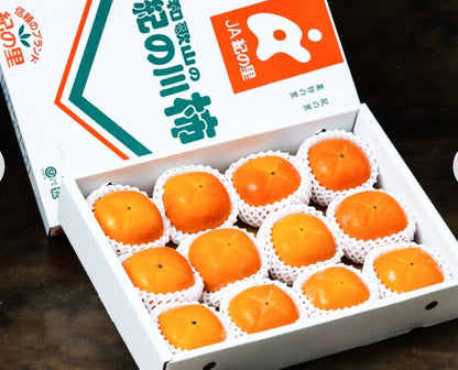 紀の川柿 黒あま　和歌山県産 秀 2〜4L 約3.6kg（12〜15玉）産地箱