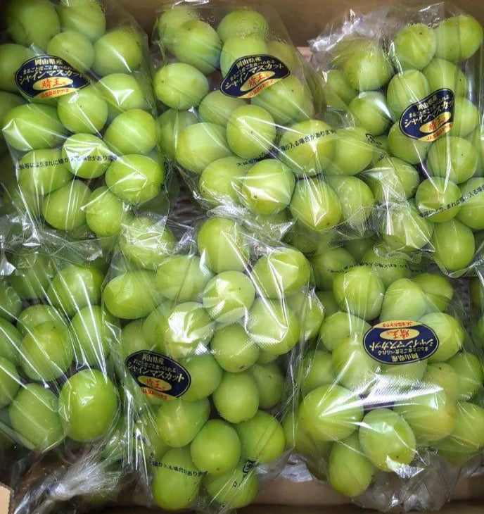 大房『晴王 シャインマスカット』 岡山県産ぶどう 7房~8房　約5kg