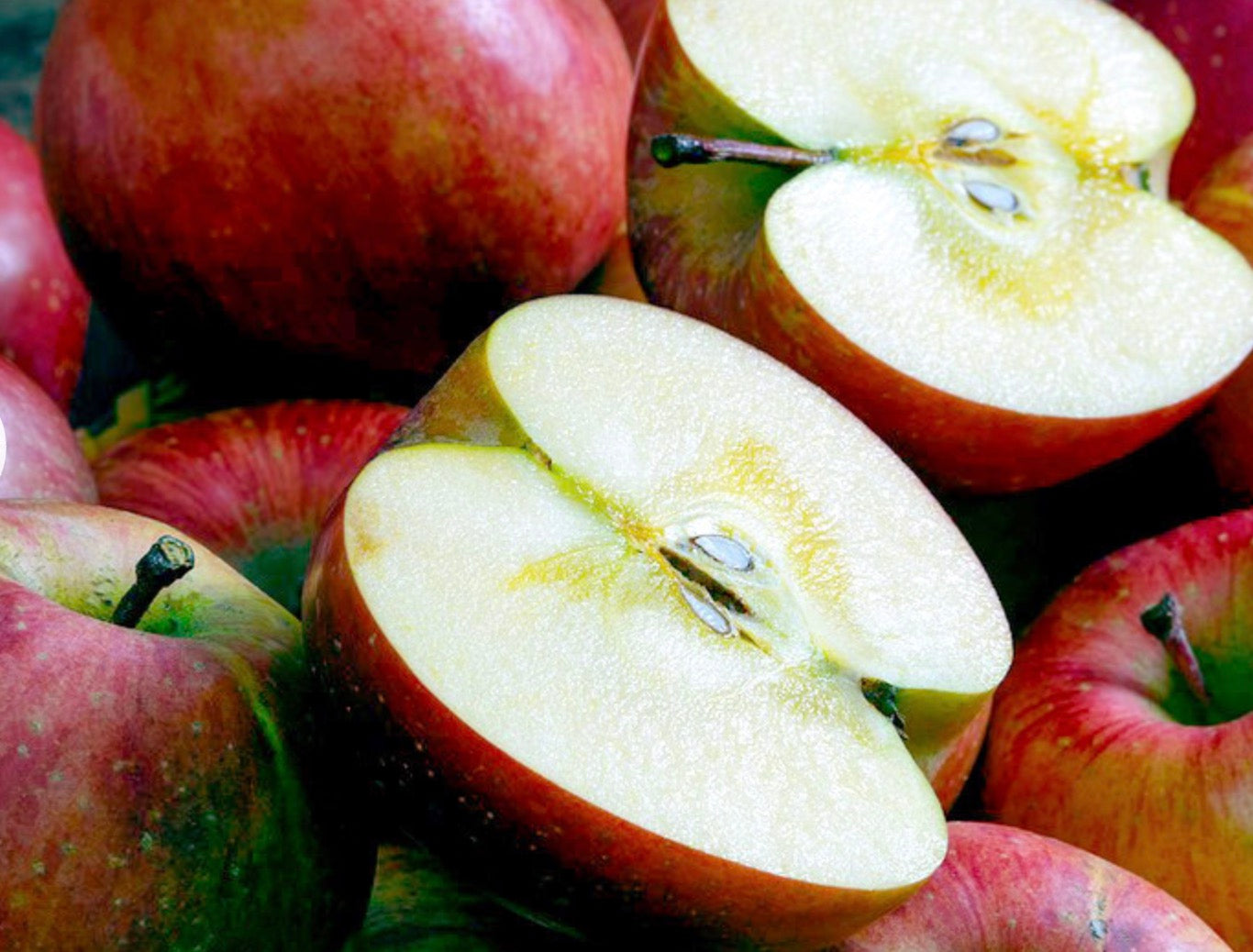 『早生ふじ』青森産 りんご 約10kg （目安として26〜30玉）