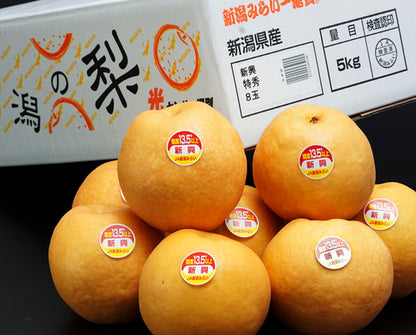 糖度13.5度以上『一糖賞 新興梨』新潟県産 約5kg（5〜10玉）
