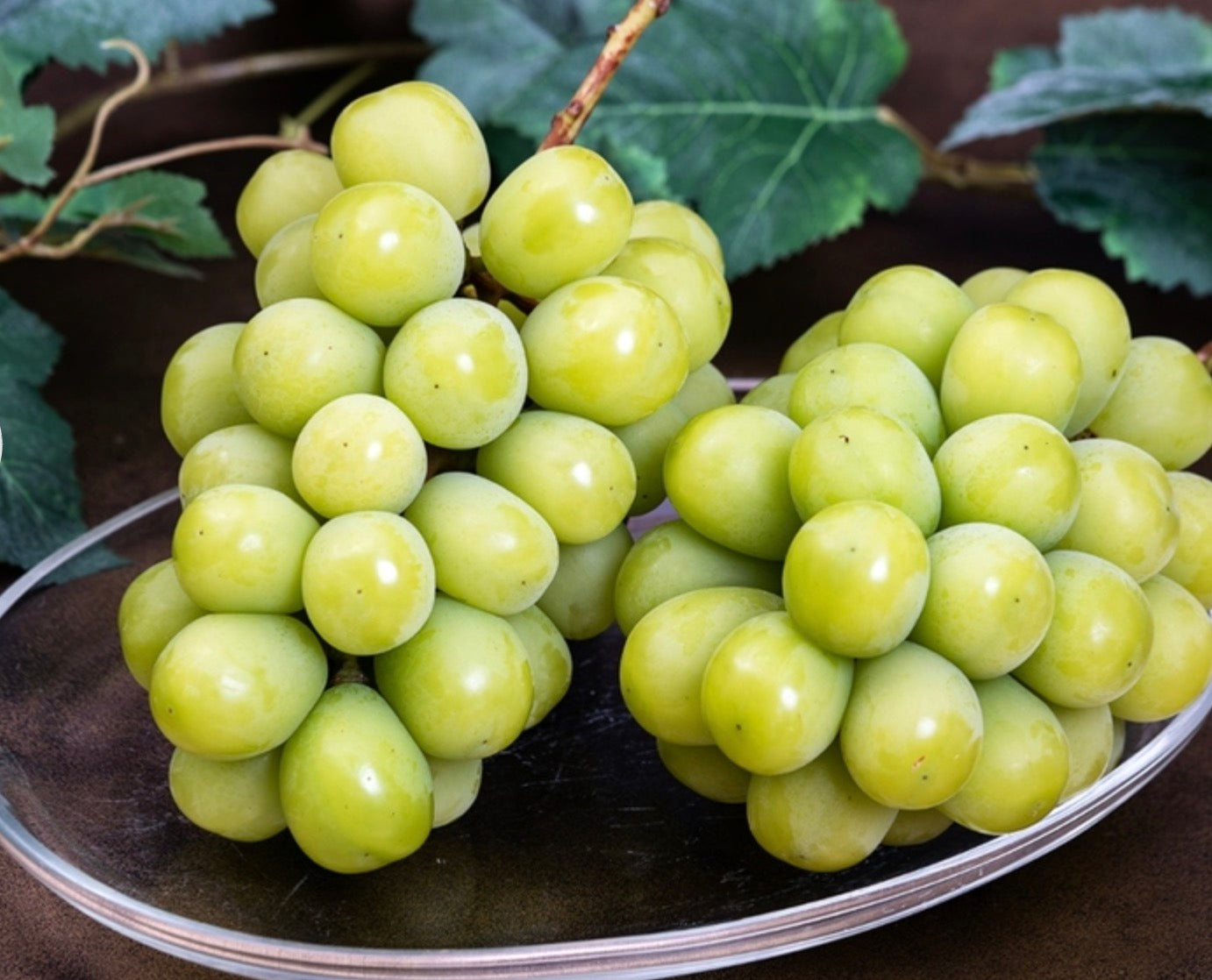 大房『長野 シャインマスカット』 長野県産ぶどう 7房~8房　約5kg