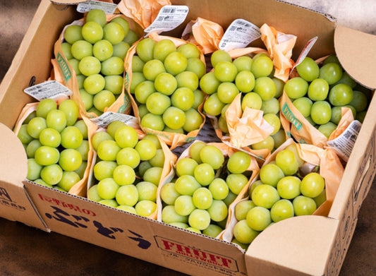 大房『長野 シャインマスカット』 長野県産ぶどう 7房~8房　約5kg