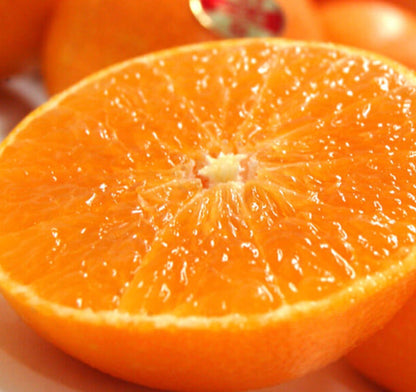 『紅まどんな』愛媛県産 L〜3L 約3kg（10〜15玉) 化粧箱