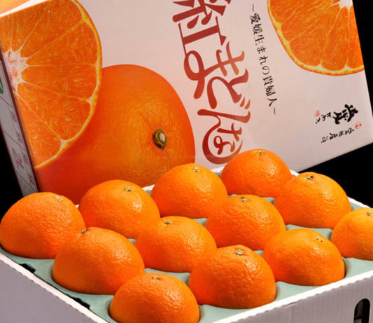 『紅まどんな』愛媛県産 L〜3L 約3kg（10〜15玉) 化粧箱