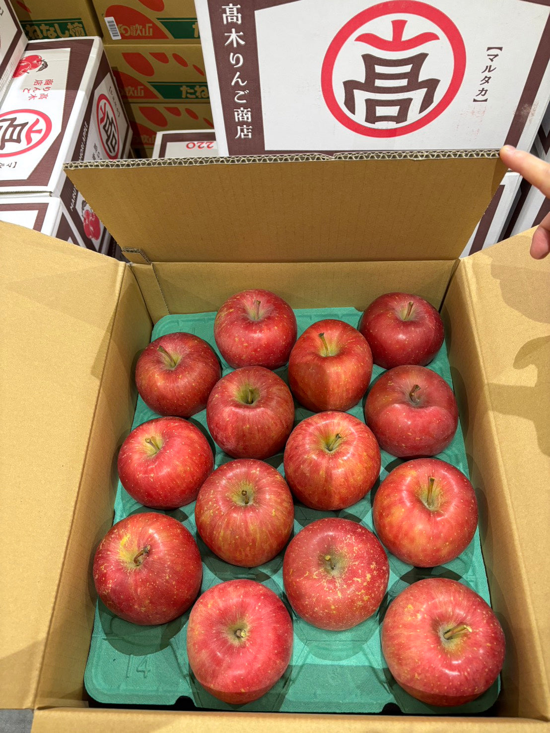 『早生ふじ』青森産 りんご 約10kg （目安として26〜30玉）